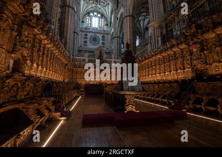 Silleria del coro de la Catedral nueva de Salamanca Foto Stock