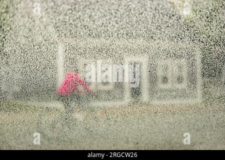 Guardando attraverso il parabrezza di un'auto sotto la pioggia mentre una donna guida una bicicletta a Saint Andrews, New Brunswick, Canada Foto Stock