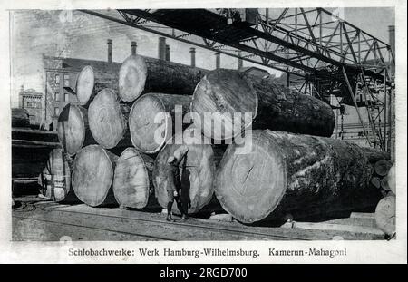Tagliare tronchi di mogano dal Camerun, Africa, ad Amburgo, Germania. Khaya ivorensis, chiamato anche mogano africano o mogano Lagos, è un alto albero forestale con un tronco semitrato della famiglia Meliaceae. Si trova in Angola, Camerun, Costa d'Avorio, Gabon, Ghana, la Liberia e la Nigeria dove cresce principalmente nelle foreste pluviali tropicali di pianura. Foto Stock