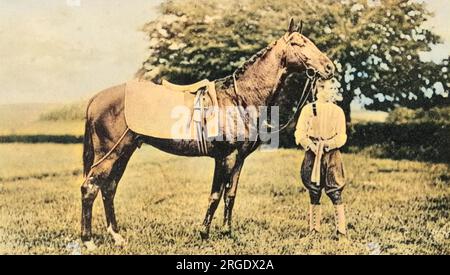 ARD Patrick, vincitore dell'Epsom Derby nel 1902. Cavallo da corsa Foto Stock