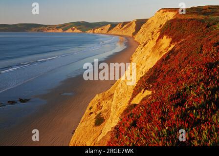 La calda luce del sole del mattino colpisce la scogliera vicino a Drakes Bay a Point Reyes Foto Stock