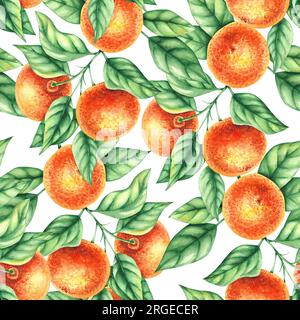 Acquerello mandarino disegnato a mano senza cuciture. Agrumi con foglie, fiori, frutti isolati su sfondo bianco. Motivo botanico per wallp Foto Stock