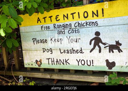 Flat Rock North Carolina, Flat Rock Village Bakery, campo libero con polli che tengono il cane al guinzaglio, insegna Foto Stock