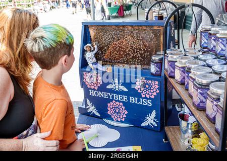 Hendersonville, North Carolina, Hendersonville Farmers Market, Maple Street, api mellifere vive che guardano alveari, bambini bambini infanzia, bambina femmina, bo Foto Stock