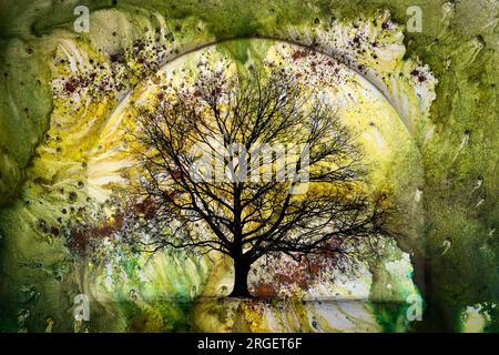 Una visione artistica di un albero in inverno racchiuso da un arco dalle vorticose sfumature verdi naturali e gialle del bosco. Foto Stock