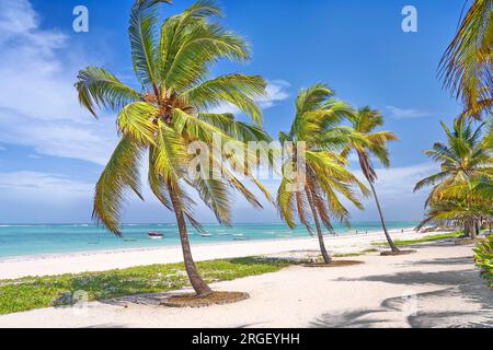 Spiaggia vicino a Pingwe, Zanzibar, Tanzania, Africa orientale Foto Stock