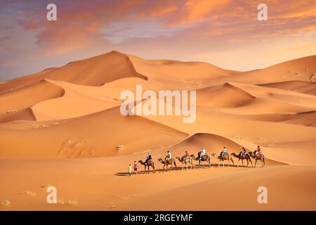 Carovana di cammelli, deserto di Erg Chebbi vicino a Merzouga, Sahara, Marocco, Africa Foto Stock