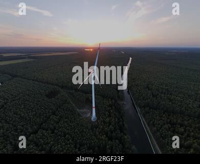 Mulini a vento al tramonto, nel mezzo della foresta Foto Stock