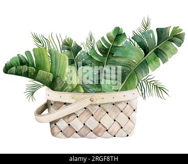 Bouquet tropicale acquerello di palme e foglie di banana in cesto di vimini illustrazione botanica Foto Stock