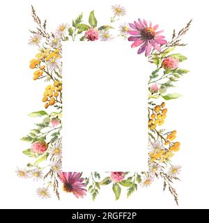 Splendida cornice floreale con acquerello di fiori di campo selvatici estivi disegnati a mano. Giardino con vegetazione floreale fiori selvatici per l'invito al matrimonio. Natura selvaggia Foto Stock