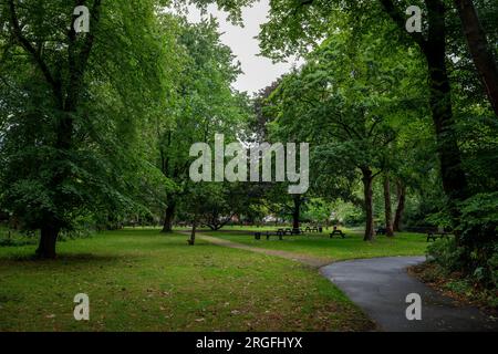 St John's Wood, Londra, Regno Unito: St John's Wood Church Gardens, un parco pubblico di Londra. Vista sul prato e sugli alberi. Foto Stock