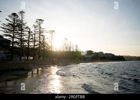 Una vista generale della spiaggia di Terrigal, Australia, vicino a dove si trova la squadra femminile dell'Inghilterra. Data foto: Mercoledì 9 agosto 2023. Foto Stock