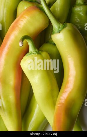 pila di peperoni di banana a telaio intero, capsicum annuum, peperoncino molto diffuso, lungo, dalla forma curva, con calore delicato, piccante e leggermente dolce Foto Stock