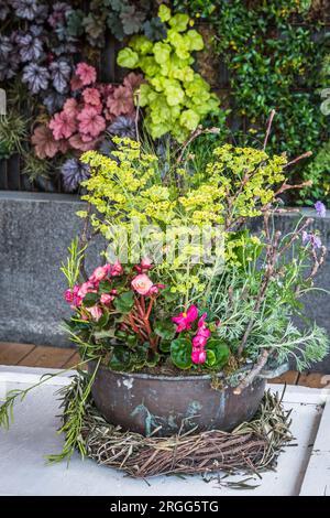 Bellissime piante colorate in vaso e fiori in un vaso di fiori in metallo arrugginito per balcone, patio o terrazza, verticale Foto Stock