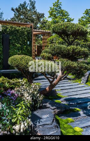 Giardino giapponese con sentiero in ardesia con pacciame di corteccia, piante autoctone e patio in legno. Concezione paesaggistica e giardinaggio. Verticale. Foto Stock