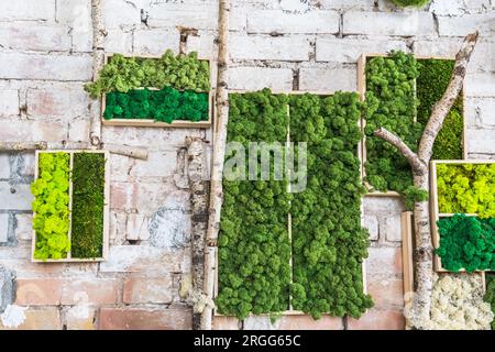 Muschio verde chiaro e scuro in scatole di legno su un muro di pietra rustica a forma di immagine. Splendida cornice per una foto. Splendida cornice decorata a parete Foto Stock