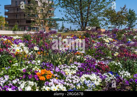 Letti a molle colorati con varie riquadri Foto Stock