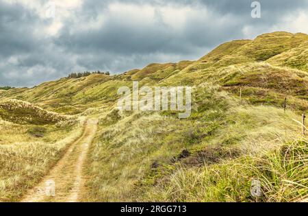 Colline e pendii sulla spiaggia di Svinkloes a Thy, Danimarca Foto Stock