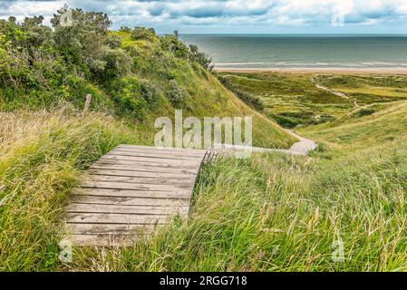 Colline e pendii sulla spiaggia di Svinkloes a Thy, Danimarca Foto Stock