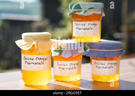 Un gruppo di barattoli contenenti marmellata d'arancia di Siviglia fatta in casa. Le vaschette hanno etichette scritte a mano e rivestimenti in tessuto sopra i coperchi Foto Stock