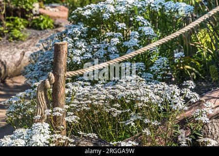 Recinzione da giardino fatta di pali e corde di legno Foto Stock