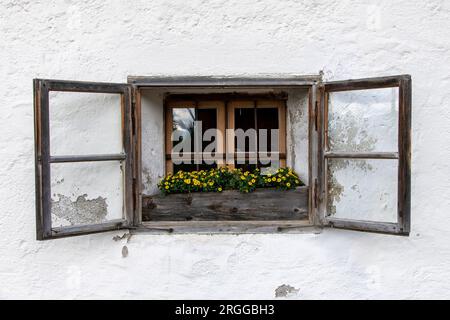 Vista ravvicinata di una piccola finestra intemprata nella facciata intonacata bianca di una tradizionale casa alpina con un vaso di fiori con fiori gialli nella finestra Foto Stock