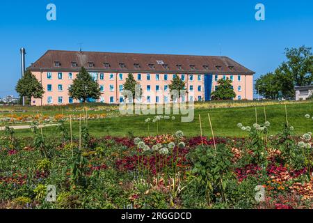 Mannheim, Germania - 26.05.2023: Costruzione sul sito dell'ex esercito degli Stati Uniti, dove nel 202 si svolge il Bundesgartenschau (spettacolo federale di orticoltura) Foto Stock