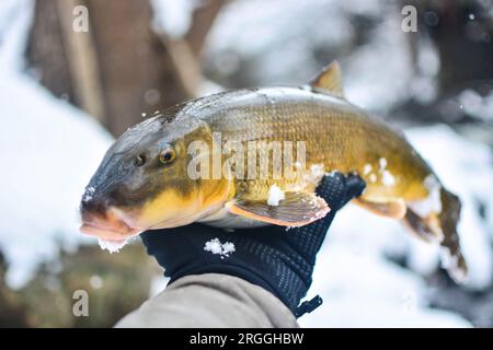 Immagine dello spazio copia pesca invernale sul ghiaccio, attività invernale Foto Stock