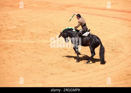 Corrida de toros de rejones en la Maestranza de Sevilla Foto Stock