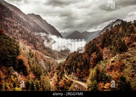 La foresta e la montagna durante l'autunno Foto Stock