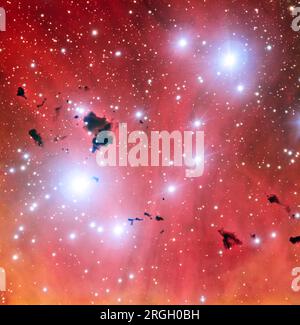 Ammasso di stelle radianti in una nebulosa Foto Stock