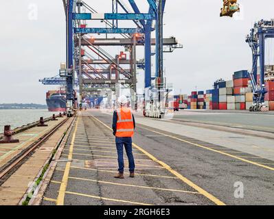 Vista posteriore del lavoratore dock guardando gru sul porto di Felixstowe, Inghilterra Foto Stock