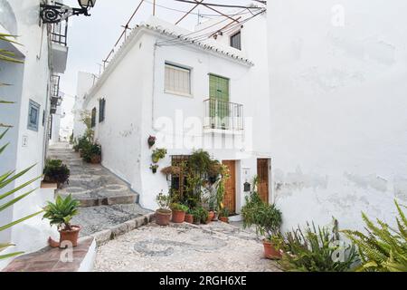 House e di piante in vaso su strada in Spagna Foto Stock