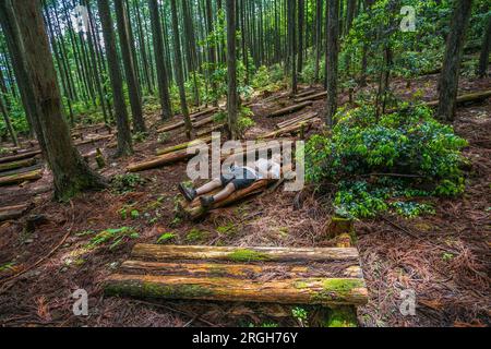 Kumano Kodo percorso del pellegrinaggio. Modo al grande santuario, Kumano Hongu Taisha. Nakahechi. Wakayama Prefettura. UNESCO. Giappone Foto Stock