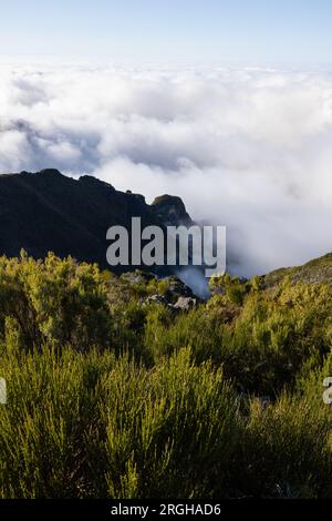 Grande alba sul Pico do Arieiro a Madeira con nebbia epica che avvolge il Ninho da Manta. Foto Stock