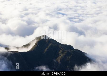 Atmosfera mistica su una valle di Madeira circondata da una fitta foresta. Foto Stock