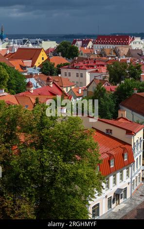 Punto panoramico di Piiskopi, città Vecchia, Tallinn, Estonia Foto Stock