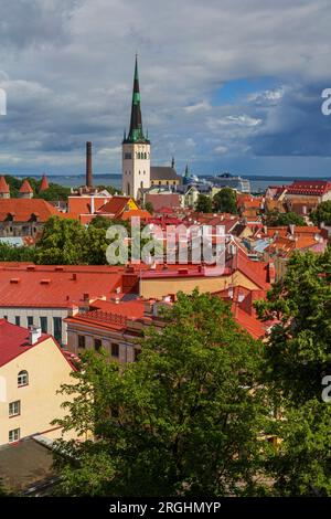 Punto panoramico di Patkuli, città Vecchia, Tallinn, Estonia Foto Stock