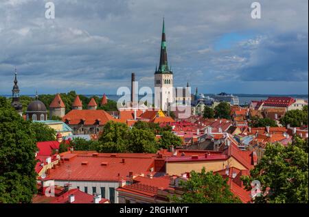 Punto panoramico di Patkuli, città Vecchia, Tallinn, Estonia Foto Stock