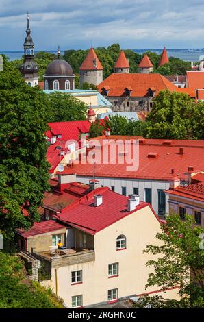 Punto panoramico di Patkuli, città Vecchia, Tallinn, Estonia Foto Stock