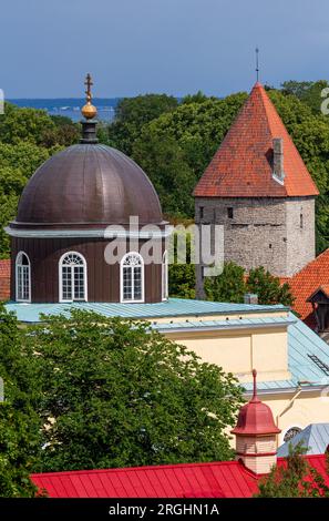 Punto panoramico di Patkuli, città Vecchia, Tallinn, Estonia Foto Stock