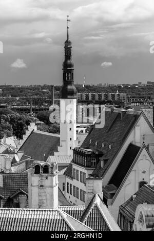 Punto panoramico di Patkuli, città Vecchia, Tallinn, Estonia Foto Stock