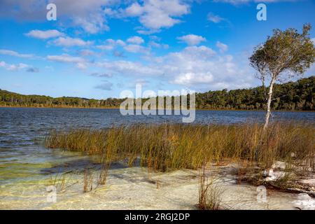 Lago Birrabeen Fraser Island K'gari, 2023, un lago arroccato con soffice sabbia bianca ad alto contenuto di silice, Queensland, Australia Foto Stock