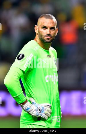 São Paulo (SP), 08 agosto 2023 - Futebol/PALMEIRAS-ATLÉTICO MG - Weverton da Palmeiras - partita tra Palmeiras x Atletico MG, valida per il ritorno, del round 16 della Copa Libertadores de América, tenutasi presso l'Allianz Arena, zona ovest di São Paolo, la notte di questo mercoledì, 09. (Foto: Eduardo Carmim/Alamy Live News) Foto Stock