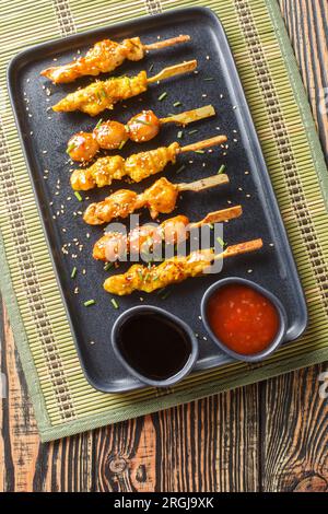 Spiedini yakitori giapponesi serviti con due salse da vicino su un piatto sul tavolo. Vista dall'alto verticale Foto Stock