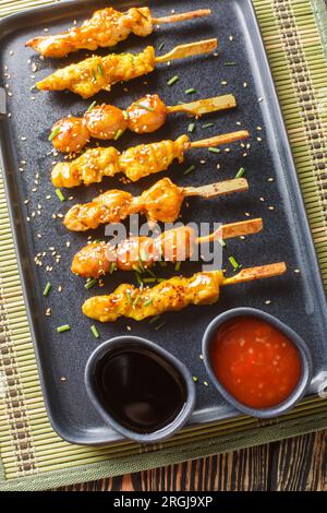 Assortimento di spiedini di pollo grigliati yakitori Charcoal primo piano sul piatto sul tavolo. Vista dall'alto verticale Foto Stock