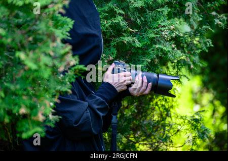 I paparazzi fotografano una persona famosa in astuzia. Un detective privato sta filmando da dietro i cespugli. Foto Stock