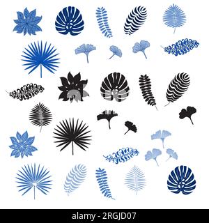 Set di foglie esotiche tropicali. Isolato su sfondo bianco. Illustrazione Vettoriale