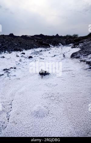 Geologia e geochimica, terra salina in montagna, depressione. Lisciviazione del sale, evaporite calcarea, gesso caduto da soluzioni supersaturate, ther Foto Stock