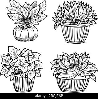 Set di pagine da colorare autunnali con zucche e girasoli.illustrazione lineare in bianco e nero per l'autunno Illustrazione Vettoriale